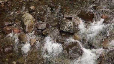 Ormandaki şelale manzarası. Ormandaki kayalar boyunca düşen beyaz suyun yavaş çekim görüntüsü..