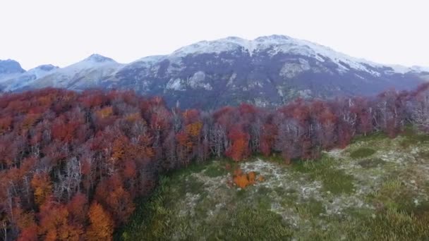 Paisagem Alpina Vista Aérea Pico Das Montanhas Floresta Árvores Nothofagus — Vídeo de Stock