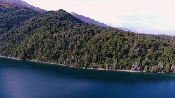 Paisagem Patagônia Vista Aérea Floresta Pinheiros Lago Azul Turquesa Correntoso — Vídeo de Stock