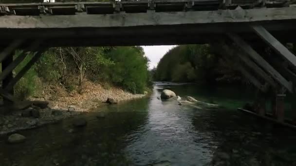 Lugnt Landskap Utsikt Över Den Vackra Floden Med Bro Skog — Stockvideo