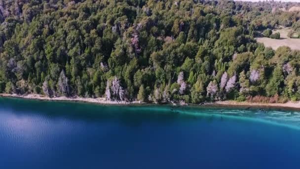파타고니아 아르헨티나 파타고니아의 빌라라앙 투라에 소라고 소나무 청록색 호수의 — 비디오