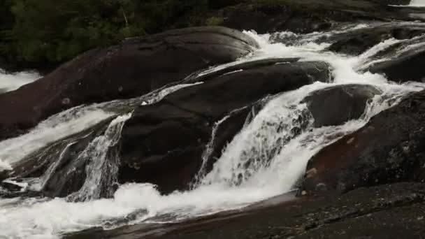Dichtbij Zicht Waterval Het Bos Langzaam Zicht Het Witte Water — Stockvideo