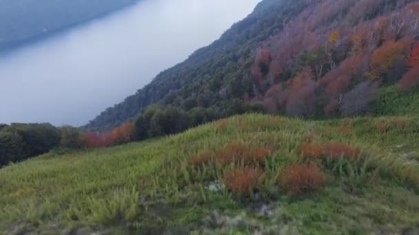 Veduta Aerea Del Prato Foresta Montagne Lago Nahuel Huapi Calar — Video Stock