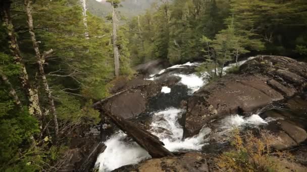 Widok Wodospad Płynący Wzdłuż Skał Górach Lasach — Wideo stockowe