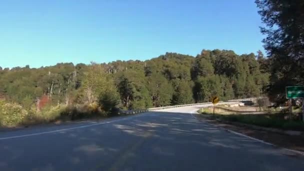 曇りの日に森や山を越えてアスファルトの高速道路に沿って車の運転の視点 — ストック動画