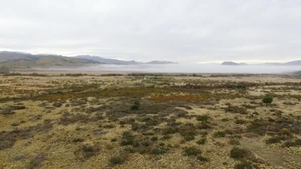 Landelijk Landschap Luchtfoto Van Het Gele Veld Bergen Een Mistige — Stockvideo