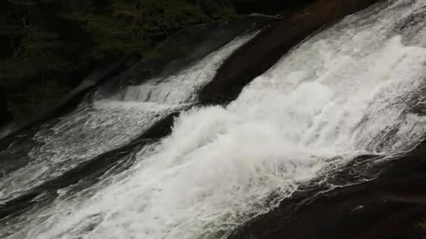 Pohled Vodopád Lese Zpomalený Pohled Bílou Vodu Padající Skalách Lese — Stock video