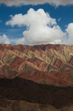 Ve bir de vahşi yaşam. Tutsak tutulan bir lama portresi. Kahverengi ve beyaz kürkü, uzun boynu, tetikte kulakları ve gülümseyen ağzı kameraya bakıyor..