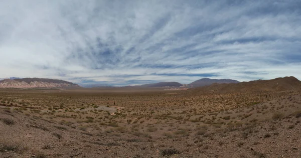 荒凉的风景 干旱的沙漠 植被和地平线上的群山的全景 蓝蓝的天空与云彩交织在一起 — 图库照片