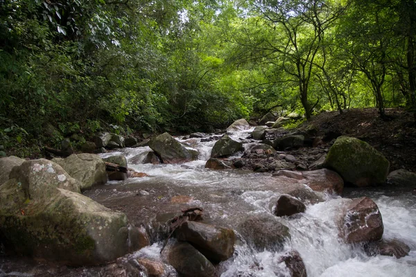 Kouzelný Les Čistý Vodní Potok Kamenitým Korytem Tekoucí Přes Tropické — Stock fotografie