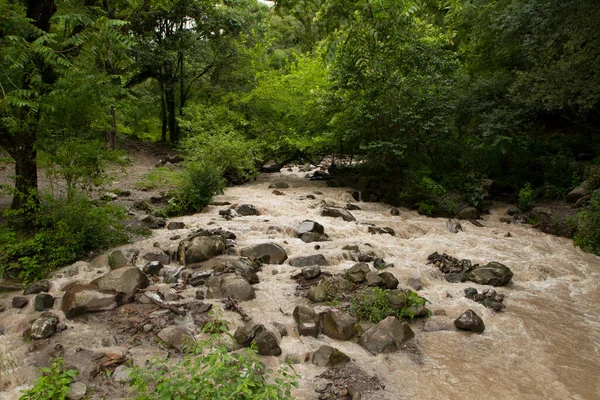Potok Kamenitým Korytem Tekoucím Podél Tropického Deštného Pralesa — Stock fotografie