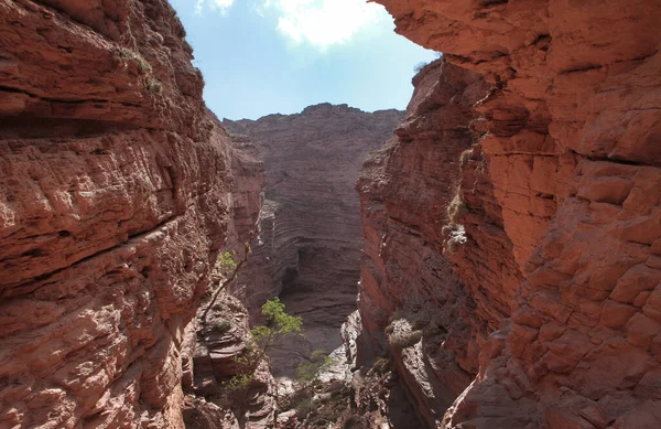 stock image Geology. Inside the red canyon. View of the red s