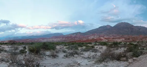 Die Wüste Bei Sonnenuntergang Panoramablick Auf Sand Wüstenflora Und Bunte — Stockfoto