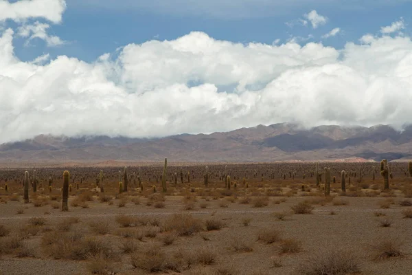 Woestijnlandschap Zicht Het Dorre Land Vallei Vegetatie Bergen Aan Horizon — Stockfoto
