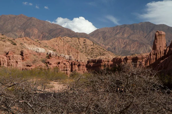 Die Rote Schlucht Blick Auf Das Trockene Tal Wüstenflora Roten — Stockfoto