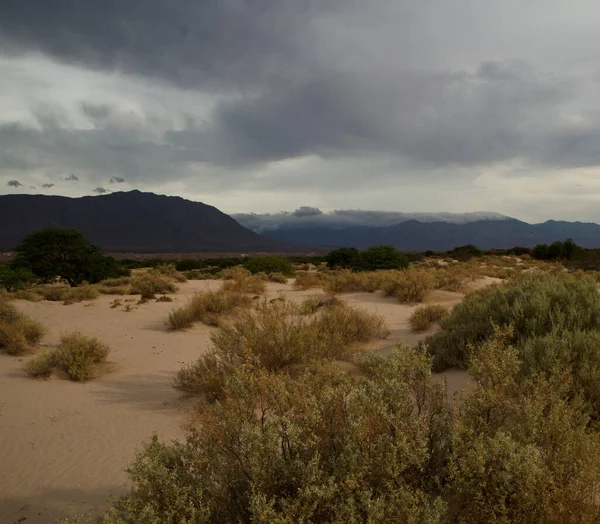 Arid landscape. The desert, sand, dunes and purple mountains.