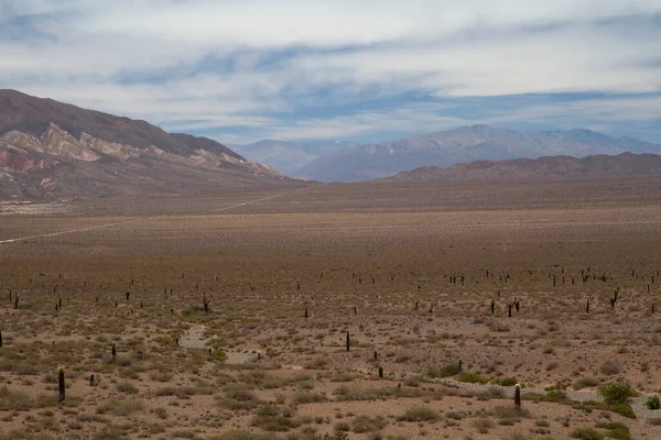 Pustynny Krajobraz Widok Suchą Ziemię Dolinę Roślinność Góry Horyzoncie — Zdjęcie stockowe