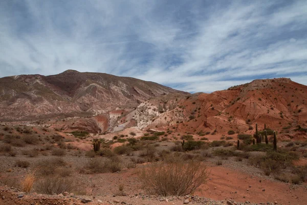 Pustynny Krajobraz Widok Suche Środowisko Kanion Pustynną Florę Piasek Skaliste — Zdjęcie stockowe