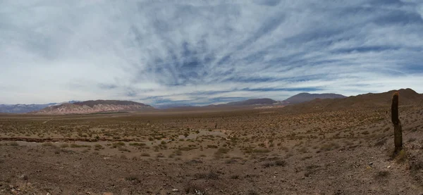 Opuszczony Krajobraz Panorama Pustyni Piasek Gigantyczny Kaktus Atakamensis Echinopsis Krzewy — Zdjęcie stockowe