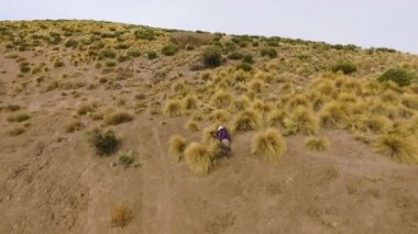 Çölde fotoğraf çeken doğa fotoğrafçısı. 30 'lu yaşlarda bir erkek fotoğraf makinesiyle çölün ve sarı otlakların fotoğraflarını çekiyor..