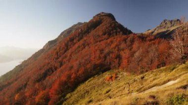 Huzurlu bir manzara. Sakin göl, orman ve dağların manzarası. 