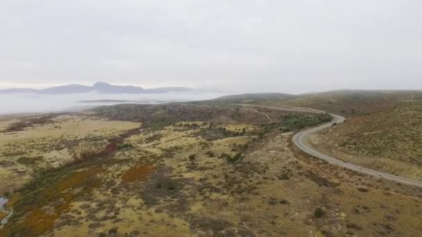 Luchtfoto Van Het Veld Herfst Uitzicht Het Gele Grasland Vallei — Stockvideo