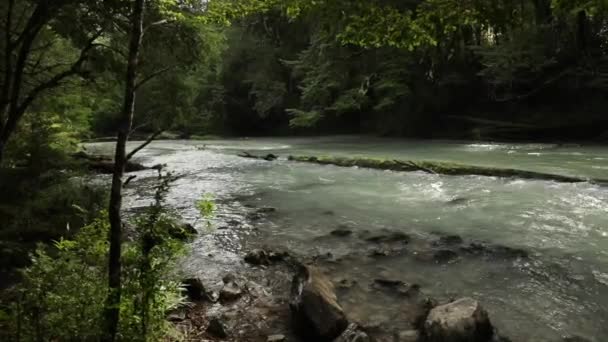 Vista Rio Água Azul Turquesa Que Atravessa Floresta Verde — Vídeo de Stock