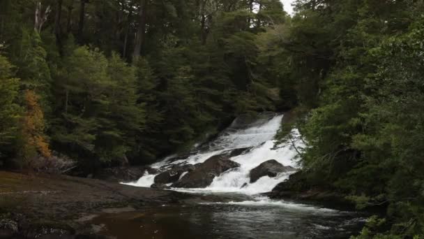 Вид Водоспади Лісі Біла Вода Бризкає Тече Уздовж Скель Гірському — стокове відео