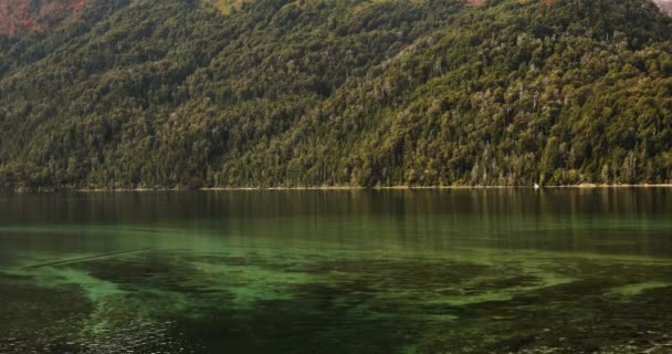 宁静的自然环境 山脚下的翡翠色湖景 美丽的绿色森林 — 图库视频影像