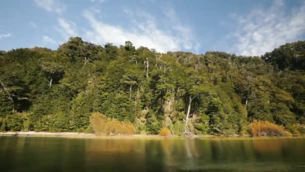 Panorámica Del Bosque Verde Lago Día Soleado Hermosos Árboles Follaje — Vídeos de Stock