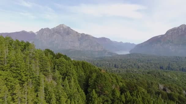 Alpenlandschap Zomer Luchtfoto Van Nahuel Huapi Meer Het Uitgestrekte Groene — Stockvideo