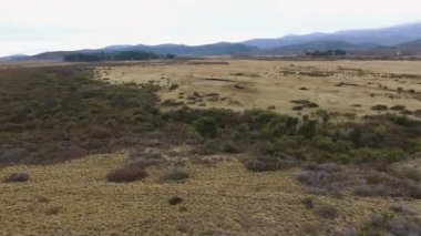 Kırsal alan. Sonbaharın erken bir sabahında sarı otlakların ve dağların havadan görünüşü.