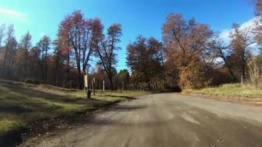 Seyahat ediyorum. Sonbaharda orman boyunca toprak yol boyunca giden bir arabanın bakış açısı.