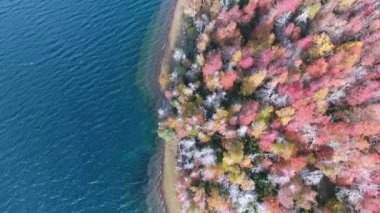 Sonbaharda ormanın ve gölün havadan görünüşü. Ağaçların yapraklarında güzel sonbahar kırmızısı, sarı ve turuncu renkler. Turkuaz renkli gölde ahşap bir rıhtım manzarası.