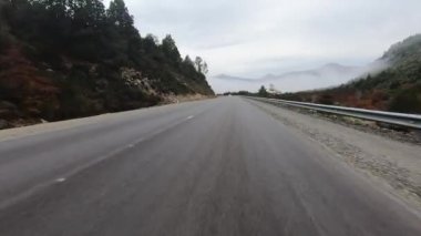 Seyahat ediyorum. Sabahın erken saatlerinde ağaçların ve dağların arasından kırsal yol boyunca giden bir arabanın bakış açısı. Çevredeki sis ve sisin görüntüsü.