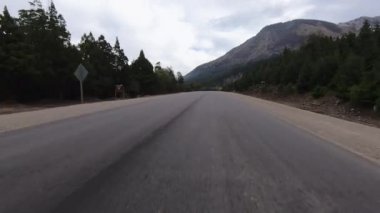 Ormandan geçen asfalt yol boyunca sürüyorum..