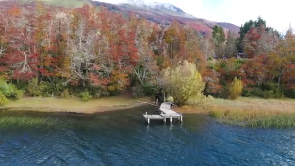Heitere Szenerie Luftaufnahme Eines Holzstegs See Herbst Der Bunte Wald — Stockvideo