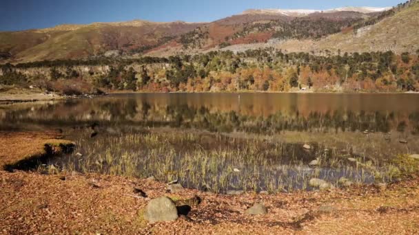 Outono Vista Lago Floresta Montanhas Outono Bela Reflexão Paisagística Superfície — Vídeo de Stock