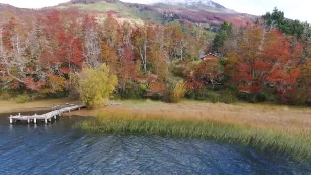 Heitere Szenerie Luftaufnahme Eines Holzstegs See Herbst Der Bunte Wald — Stockvideo