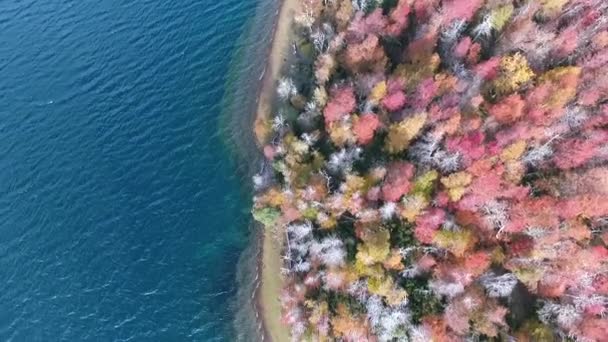 Blick Aus Der Luft Auf Wald Und See Herbst Schöne — Stockvideo