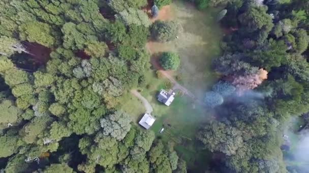 Tatiller Yeşil Orman Körfezin Yukarıdan Görünüşü Tatil Evleri Kıyı Turkuaz — Stok video