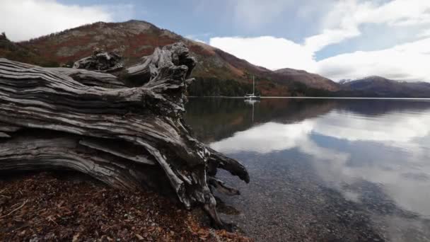 Heitere Landschaft Blick Auf Ein Segelboot See Vordergrund Ein Umgestürzter — Stockvideo