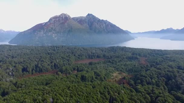 Вид Воздуха Зеленый Лес Озеро Горы Рано Утром Туманом — стоковое видео