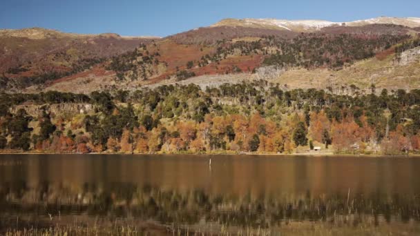 Spokojne Jezioro Widok Jezioro Las Góry Jesienią Piękne Odbicie Krajobrazu — Wideo stockowe
