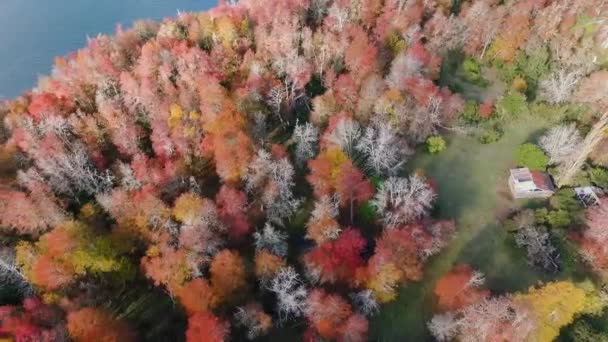 秋天空中俯瞰湖畔的房子 湖泊和森林 — 图库视频影像