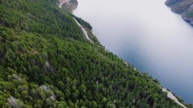 Lacar Gölü 'nün yanı sıra San Martin de los Andes, Patagonya' daki dağların ve yeşil ormanın havadan görünüşü..