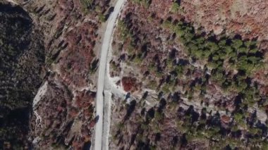 Sonbaharda kırmızı ve yeşil ormanı geçen toprak yolun yukarıdan görünüşü.. 