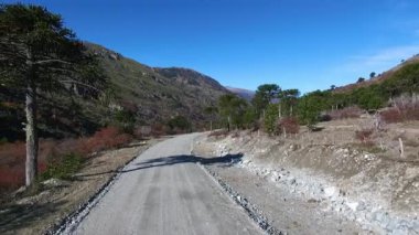 Sonbaharda dağları aşmak. Vadi boyunca toprak yol manzarası, tepeler ve Araucaria araucana ağaçları Villa Pehuenia, Patagonya Arjantin 'de güneşli bir günde.