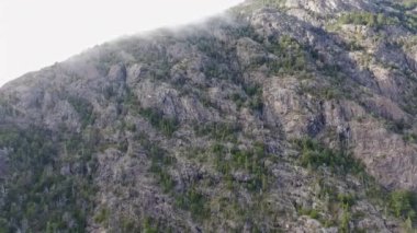 Alp manzarası. Kayalık dağların bulutlara değen havadan görünüşü ve yeşil orman..