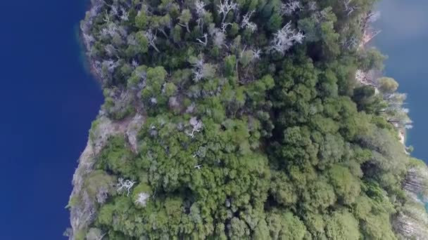 緑の森の葉 パタゴニアアルゼンチンのバリローチェにあるNahuel Huapi湖とLlao Llao丘の上空からの眺め 海岸線 青い水と岩の崖の眺め — ストック動画